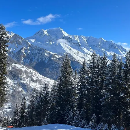 Apartment Le Genepi *